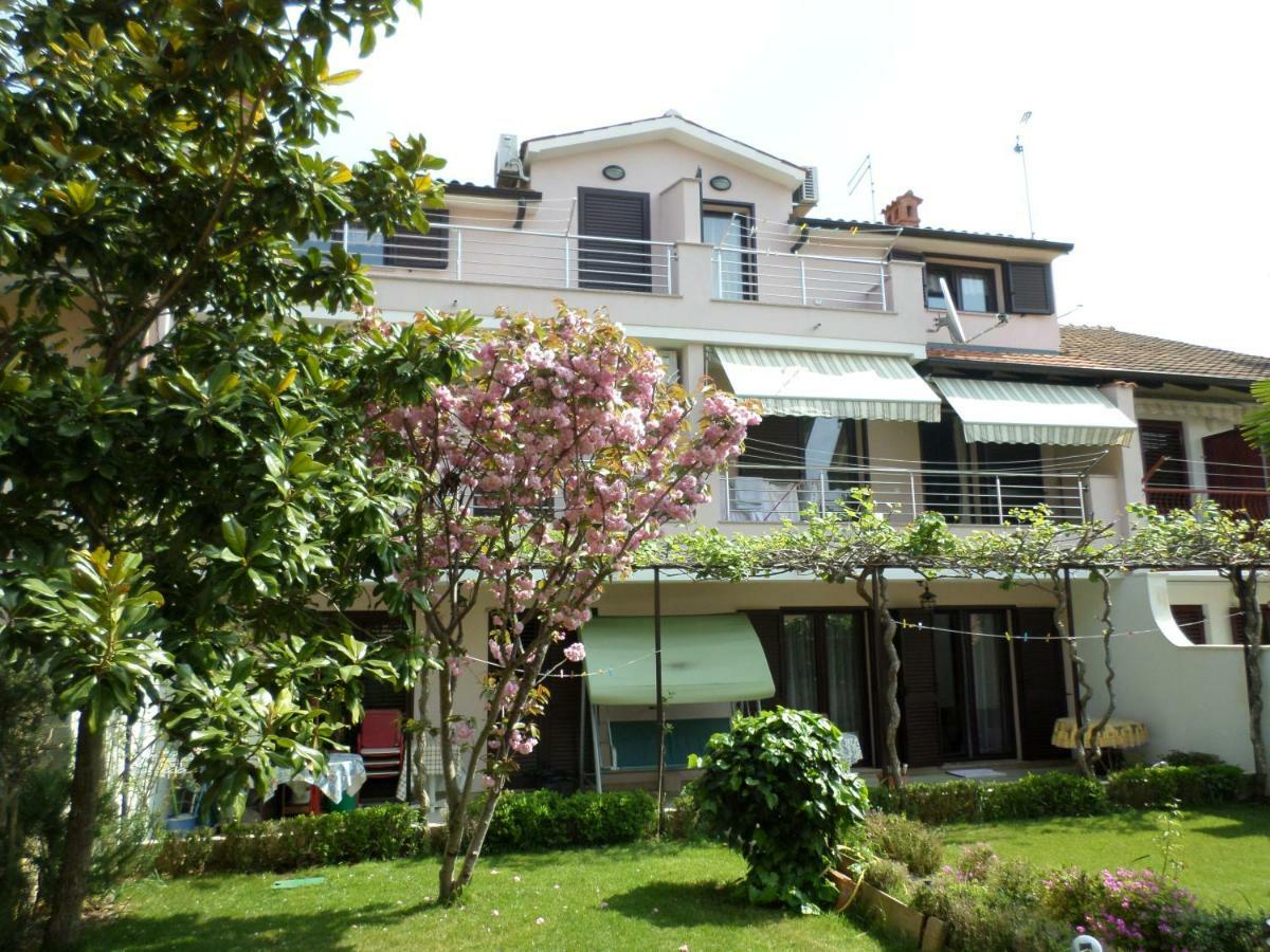 Kamelija Daire Rovinj Dış mekan fotoğraf